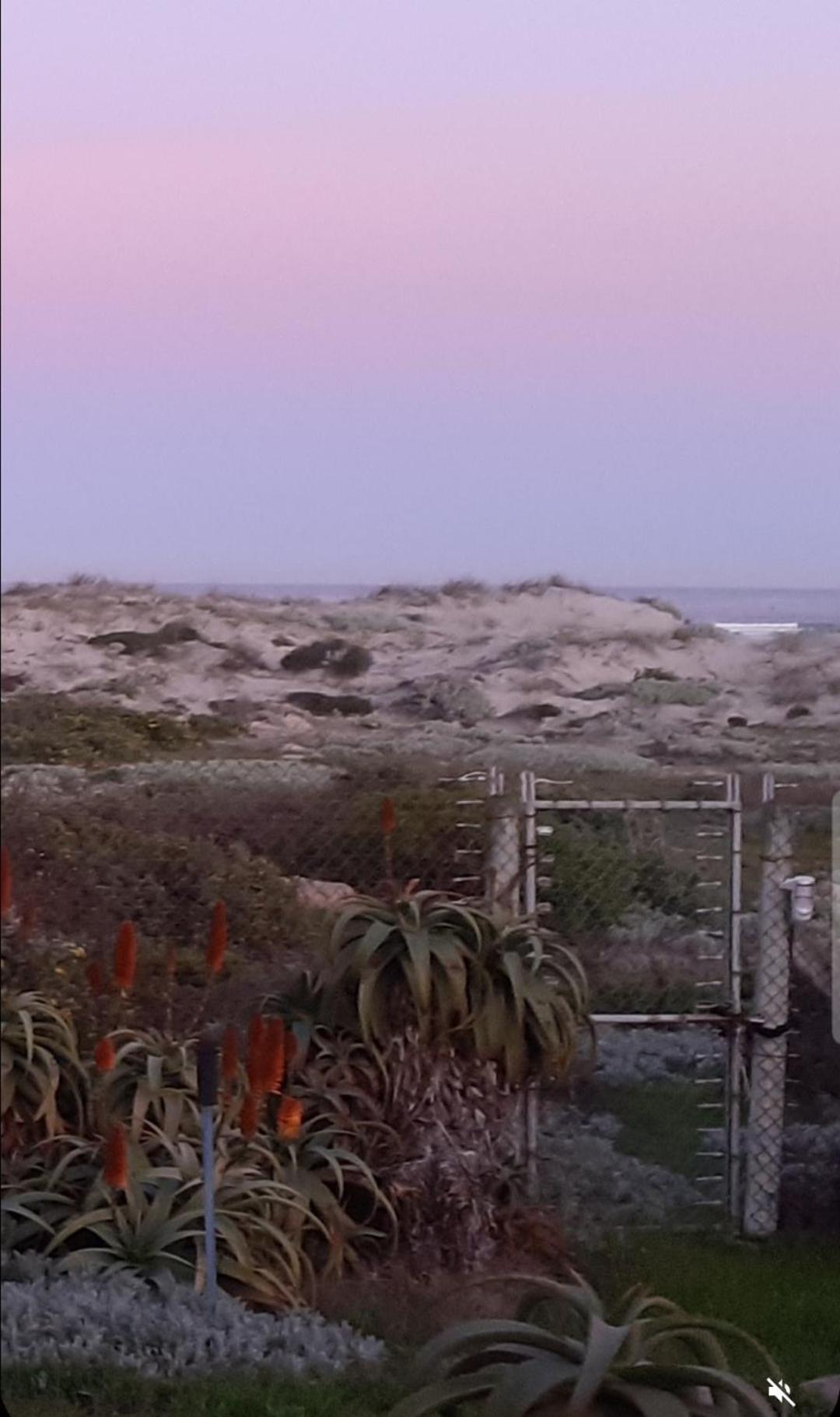 Beachmusic Cape Town Dış mekan fotoğraf