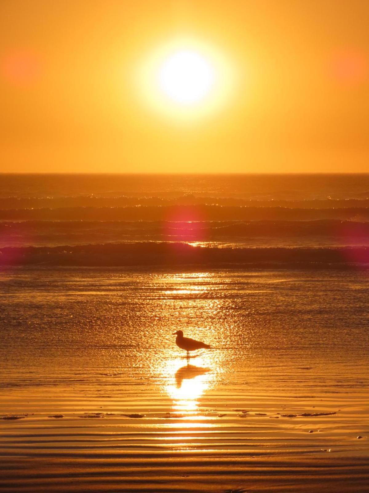 Beachmusic Cape Town Dış mekan fotoğraf